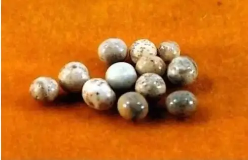 南怀瑾舍利子南怀瑾舍利子骗局