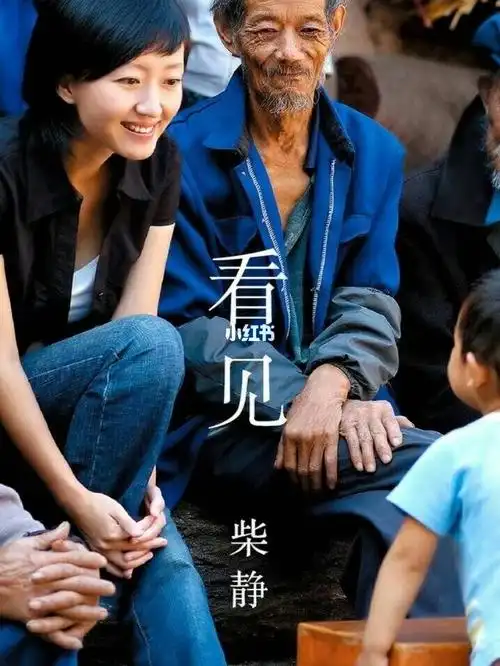 读书笔记柴静看见所阐述的皆是所看见的