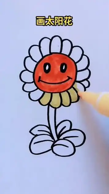 画太阳花简笔画