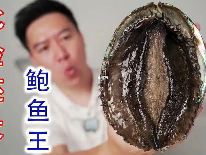 比脸还大的美国绿鲍吃过最大最贵的鲍鱼