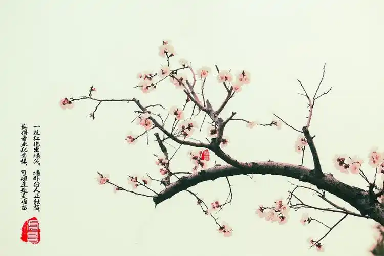 一枝红杏出墙来全诗诗句赏析