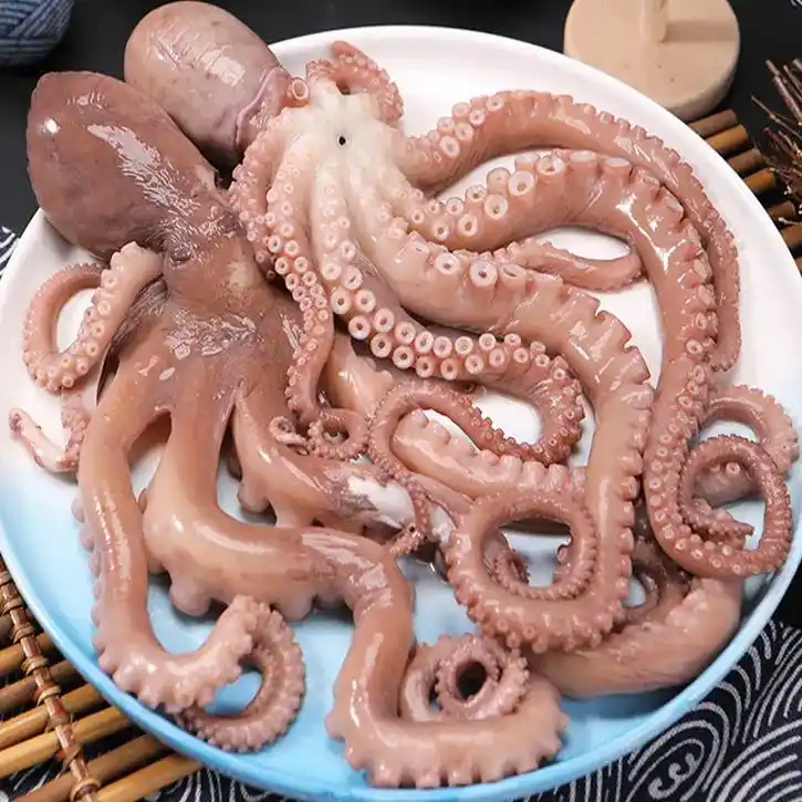 新鲜捕捞鲜活冷冻的大章鱼,肉质鲜美,口感q弹!它也被做八爪鱼 - 抖音