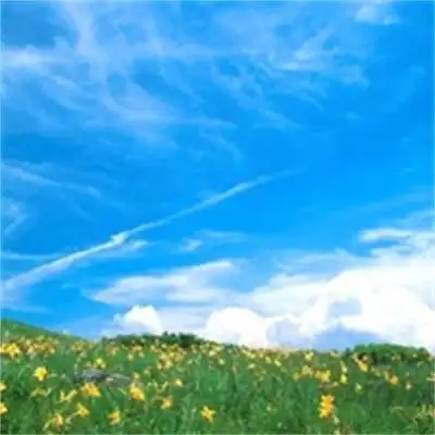 绿色系生机勃勃的春天风景头像