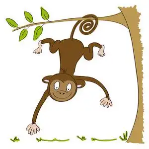 猴子尾巴图片