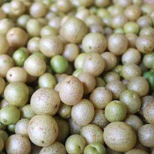 山黄皮果据广西大学农学院中心实验室对山黄皮里的营