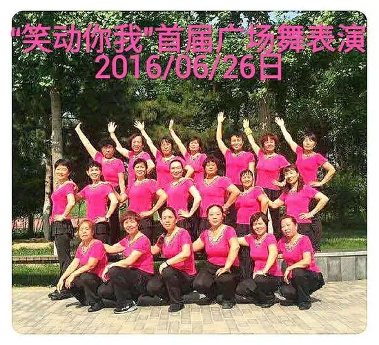 "笑动你我"二十人参演,首届广场舞表演集锦 2016/06/26日 清源公园
