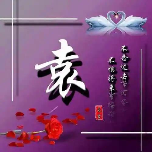 姓氏头像|不念过去,不惧未来,紫气东来成功人士专属姓氏头像