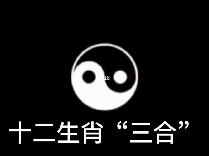 十二生肖三合