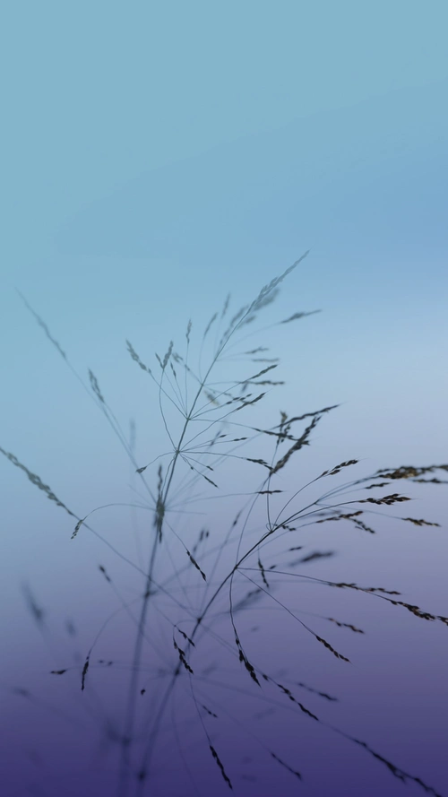 简约安卓待机风景h5背景