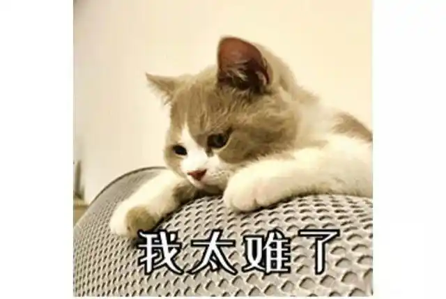 年轻人感叹生活不易,而互联网又是他们的主阵地,不能在现实中发泄