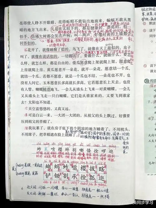 五年级下册语文第2课《祖父的园子》预习复习笔记