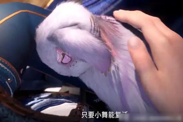 玄机回复"剧情需要",献祭后的她没有神志|斗罗大陆|小舞|唐三_网易