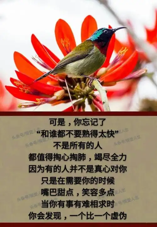 现实,太残酷,惋惜自己不够狠;人心,太善变,后悔自己太认真!