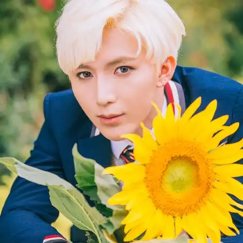 向日葵海洋_梁君诺_高音质在线试听_向日葵海洋歌词|歌曲下载_酷狗