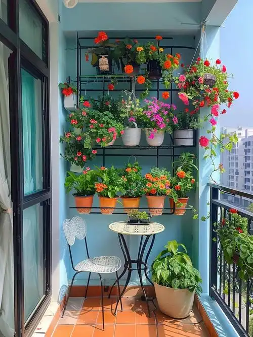 谁说小阳台不能养花?她用两个方法,把小阳台打造成私家花园|阳台|私家