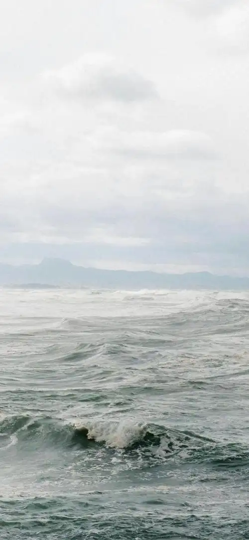 网易首页>网易号>正文申请入驻>660_1431竖版 竖屏