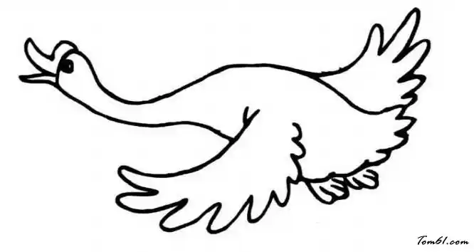 素描动物《大雁南飞》