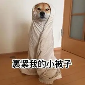 裹紧我的小被子 - 汪星人中最可耐的还是doge_doge_萌萌哒表情