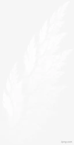 手绘白色清新羽毛装饰