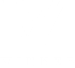 winner金秦禹t恤黑