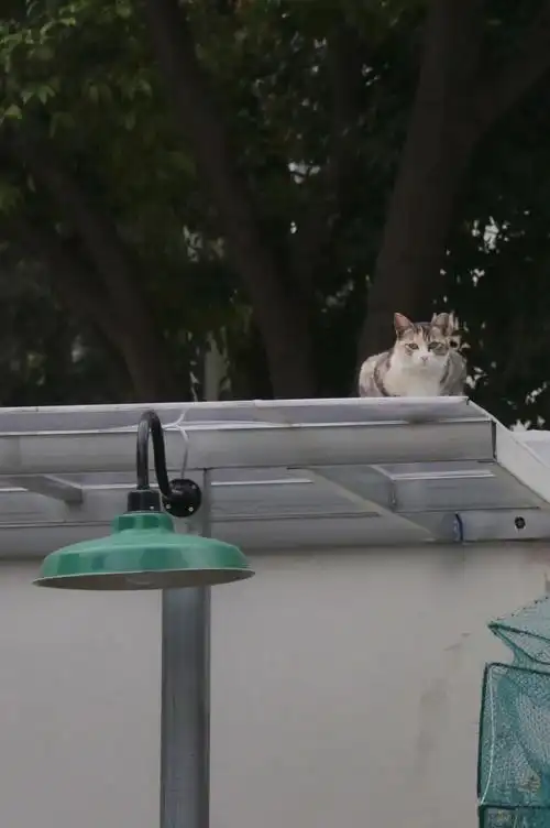 成都最火街区原来还有这么多宝藏