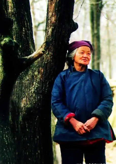 母亲我正在回家过年的路上亿万人感动落泪