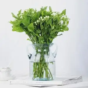 茉莉花鲜花切花办公室家庭瓶插花束清香淡雅云南昆明斗南基地直发