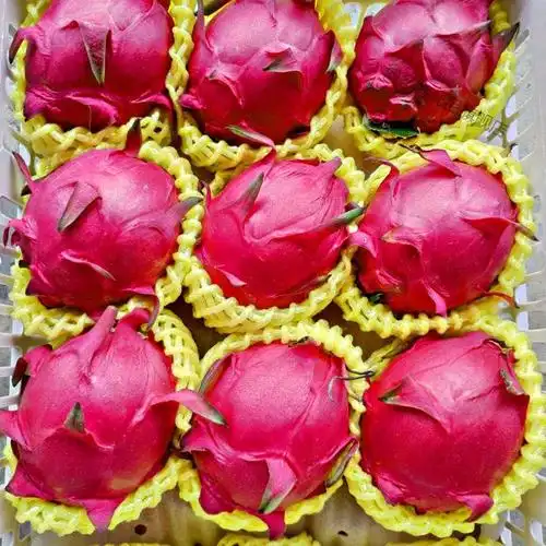 湛航正宗金都一号火龙果红心超甜新鲜应季水果批发价一整箱