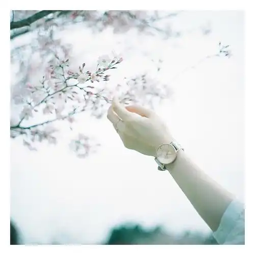 干净又透明的生活唯美图片