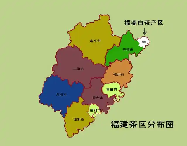 主要产地  白茶的主要产地在于福建省,其中福鼎,政和,松溪等地为其