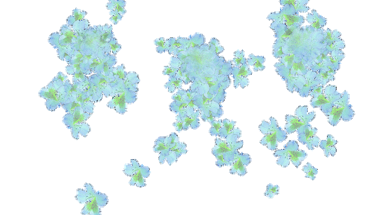 透明gif动画花草素材 【3】