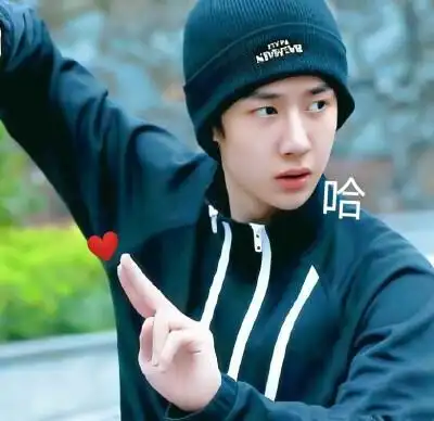 王一博表情包无语