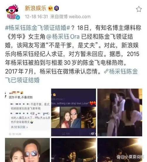 如果没有宋承宪或许刘亦菲还是干爹陈金飞的最爱