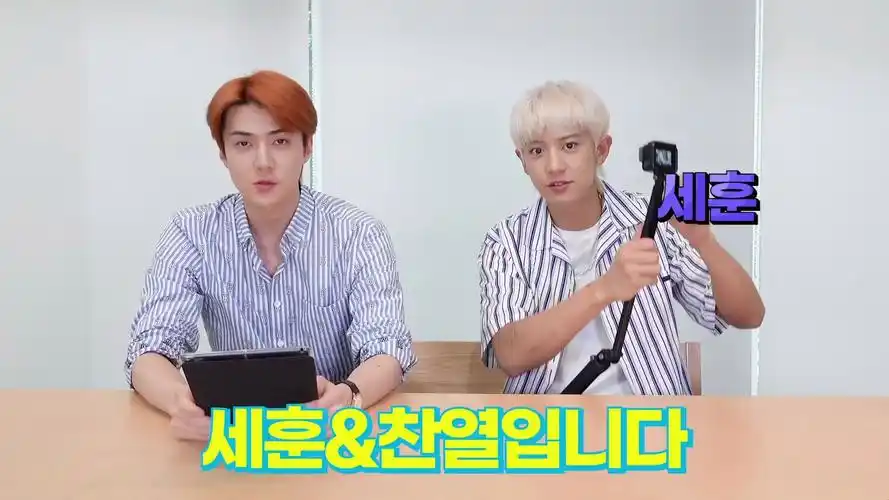 【吴世勋 & 朴灿烈 | 机翻中字】exo-sc 竹马小分队做mbti测试题 20.