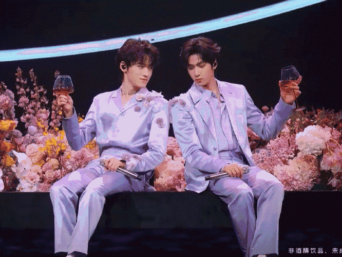 宋亚轩刘耀文碰杯##宋亚轩刘耀文舞台碰杯