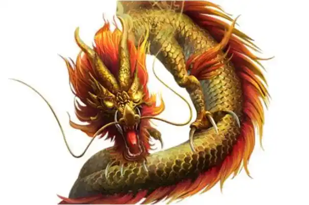 1939年出生的人命运怎么样 属龙的人一生命运