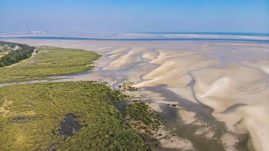 门票90元的北海红树林只因收获了傍晚的日落这一趟没白来