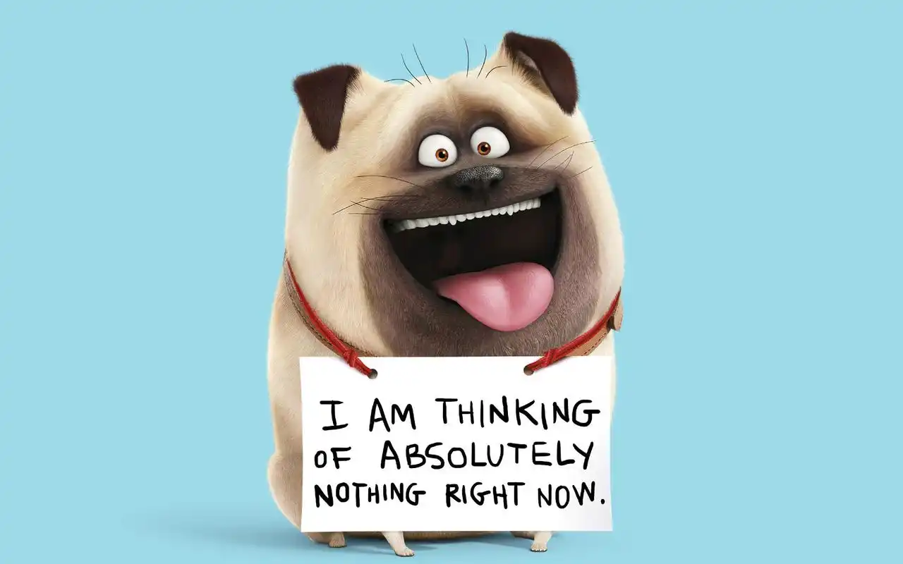 首页 桌面壁纸 《爱宠大机密》剧照图片桌面壁纸上一张下一张查看原图