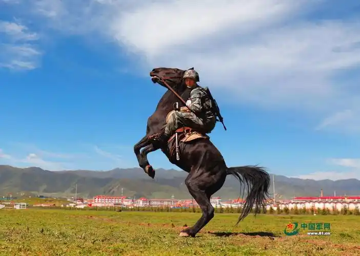 实拍青藏高原骑兵连冲锋