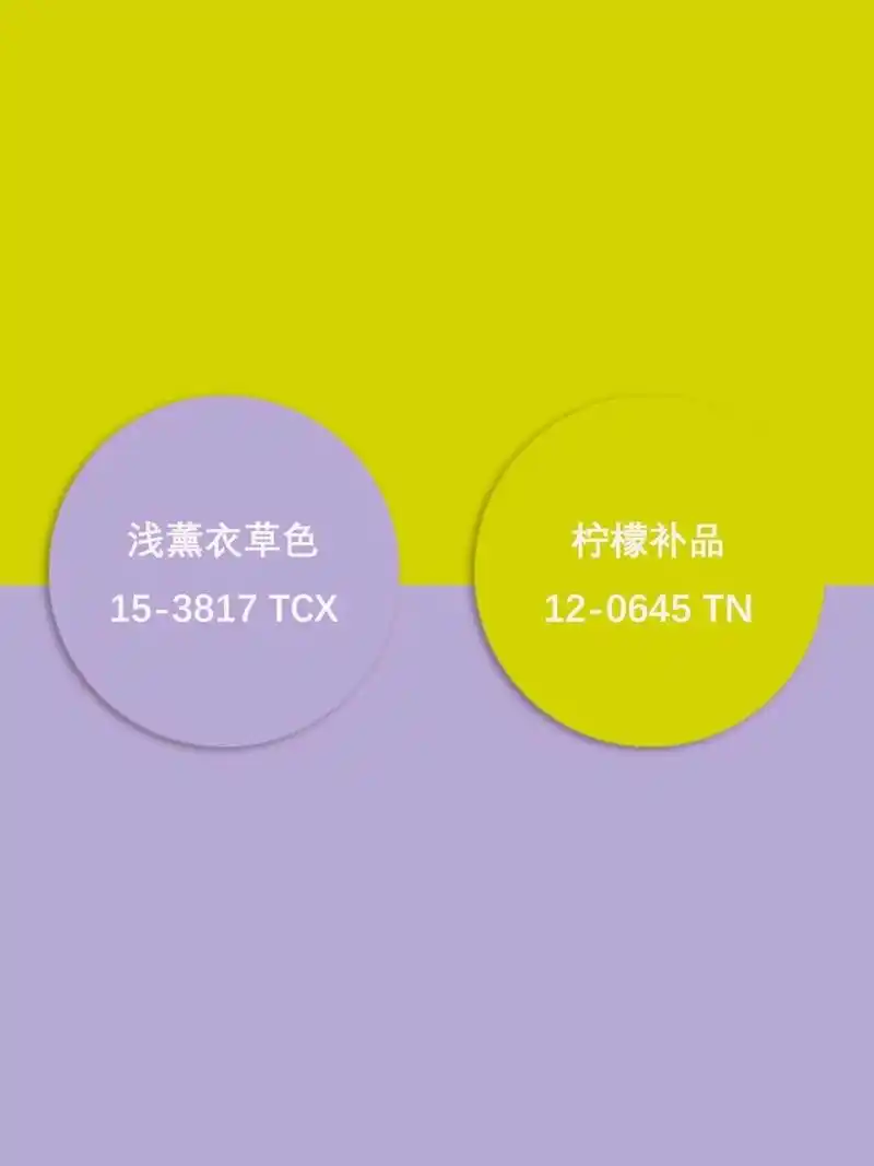 薄雾薰衣草 灌木 5.柔紫色 深钴蓝色 6.奶油蛋羹 宫廷紫 7.