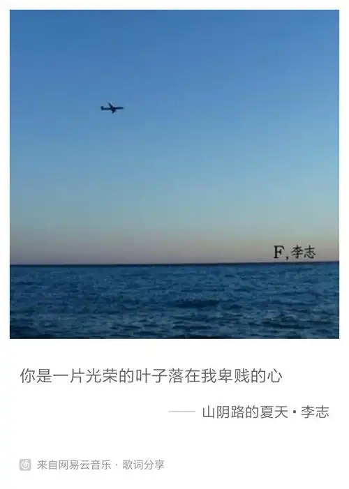 如何评价李志万青和痛仰