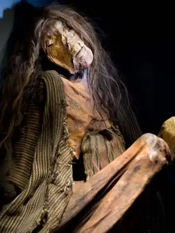 木乃伊图片_木乃伊图片真实的