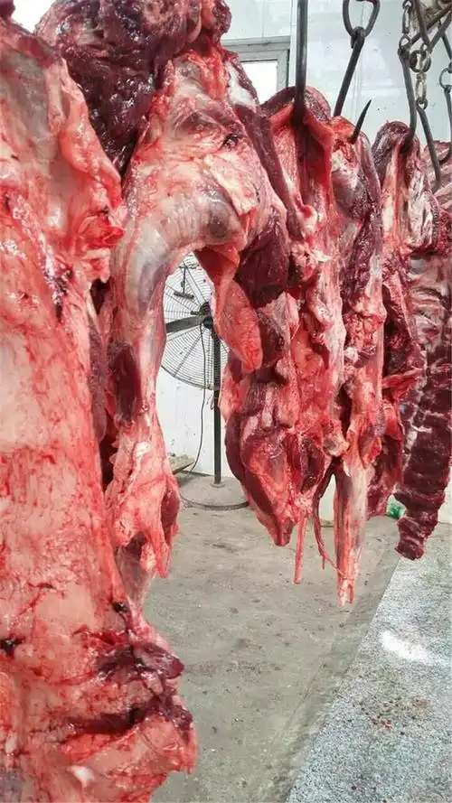 新鲜现杀驴肉河北特产不带皮驴肉带皮五香驴肉驴腱子一斤散装包邮