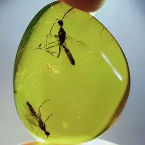 诚缘天然缅甸琥珀化石珠宝大蜜蜂虫珀原石昆虫动物珀吊坠水滴项链