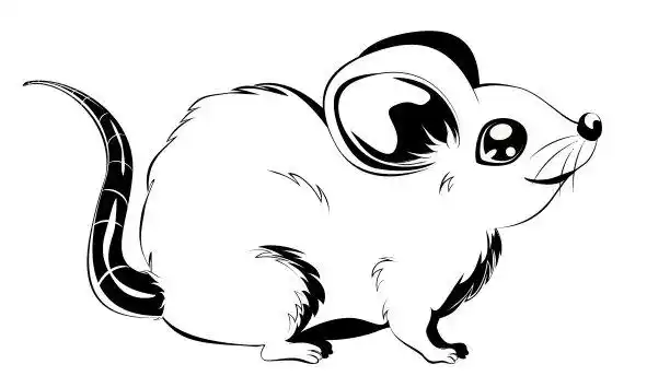 鼠标素描手绘线艺术动物孤立插画图片素材