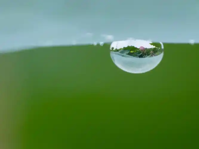 大水滴映射小荷花