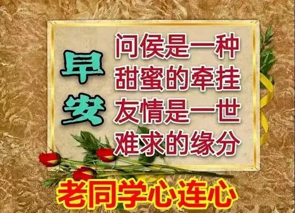 8张最新创意唯美的老同学早上好带字图片早上好表情包
