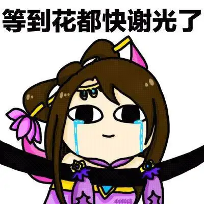 王者荣耀表情包