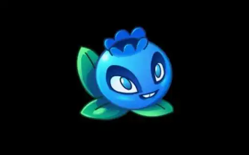 电击蓝莓终于五阶了!