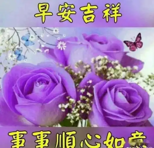 最棒的早上好图片带字表情,清晨好美的早上好问候图片温馨祝福语